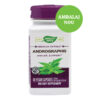 Andrographis - suport imunitar, 60 capsule vegetale