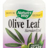 Olive Leaf - frunze maslin